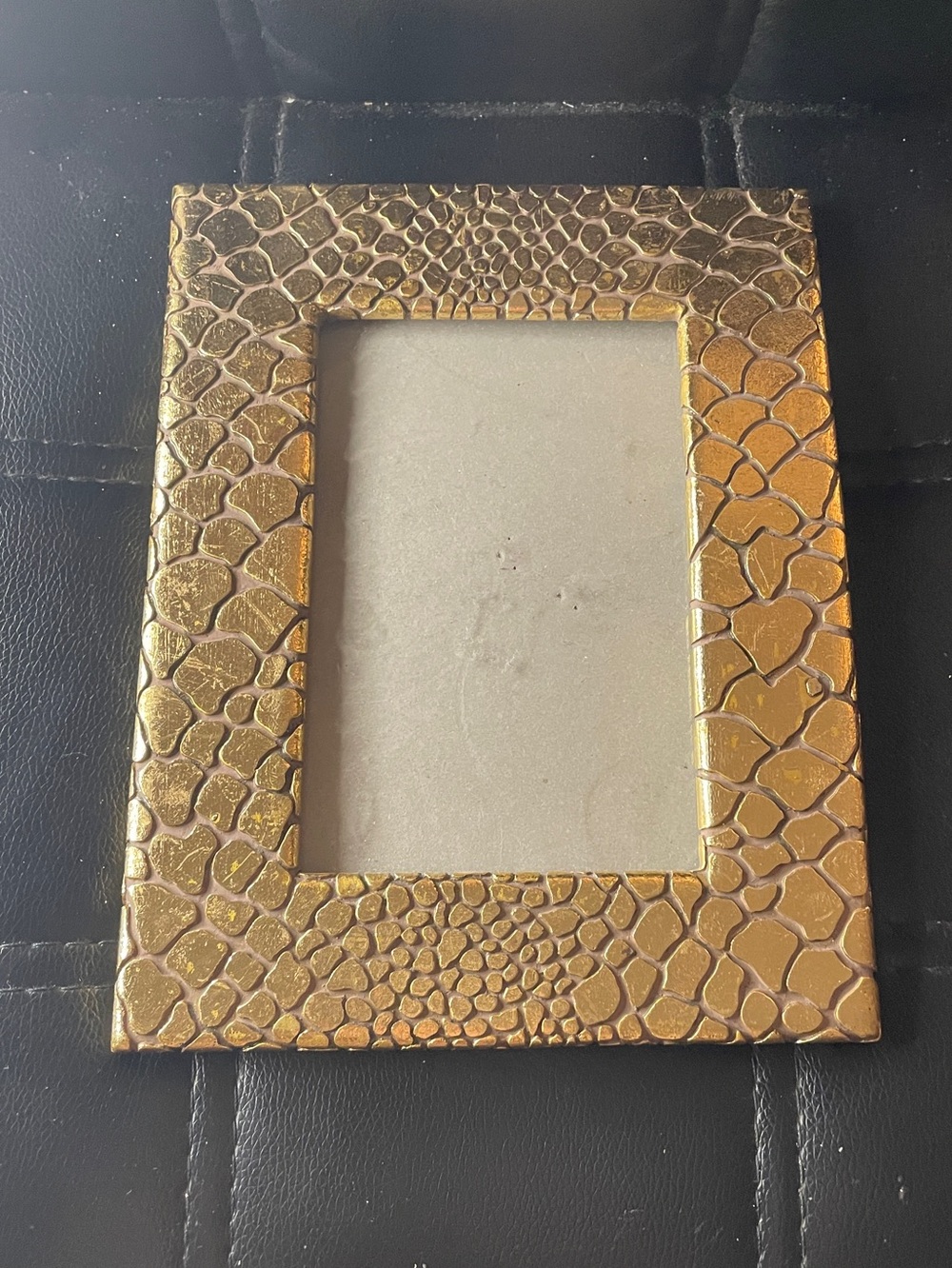 Python Gold Picture Frame